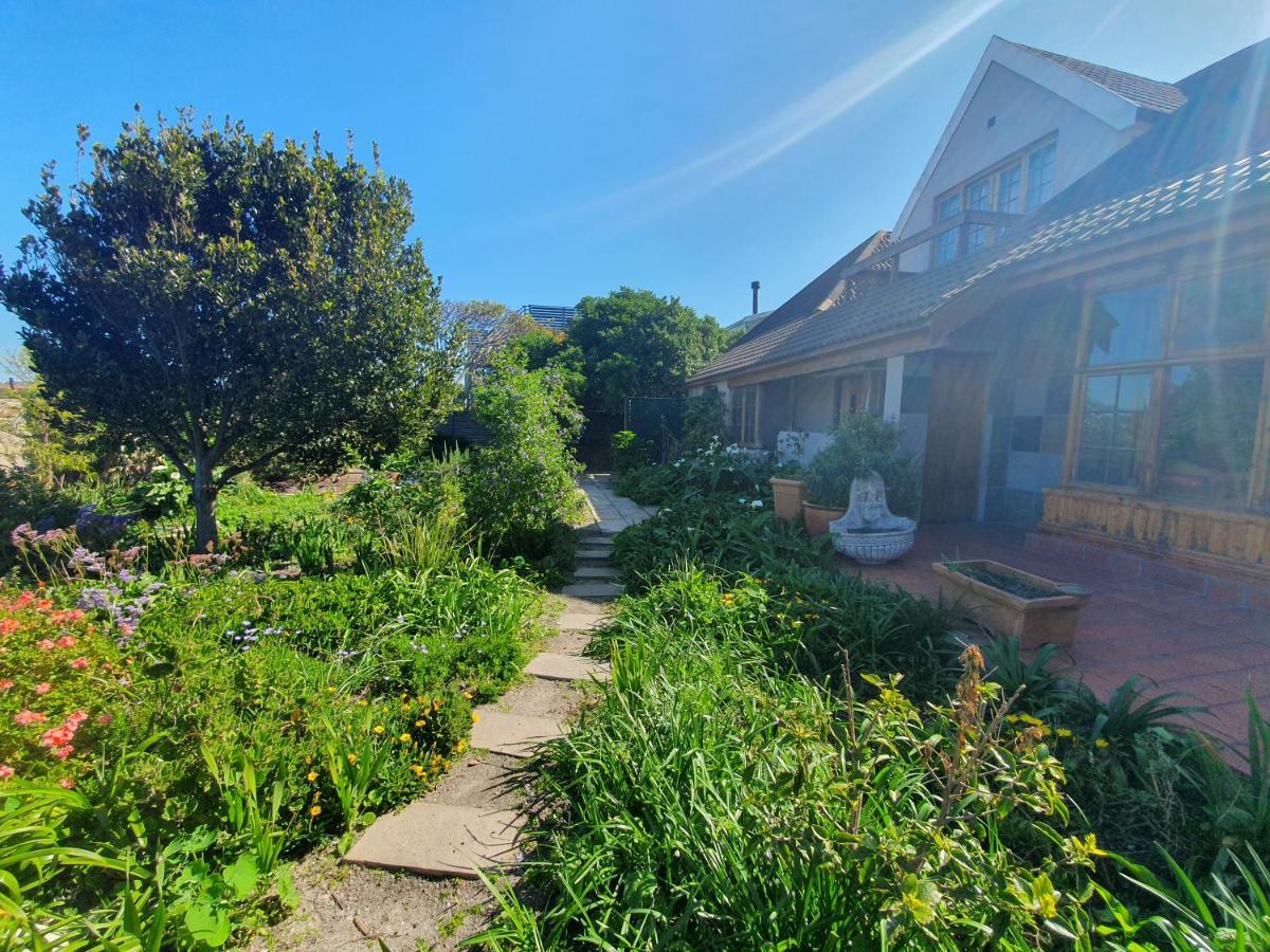 403 Main Road Accommodation Hermanus Εξωτερικό φωτογραφία